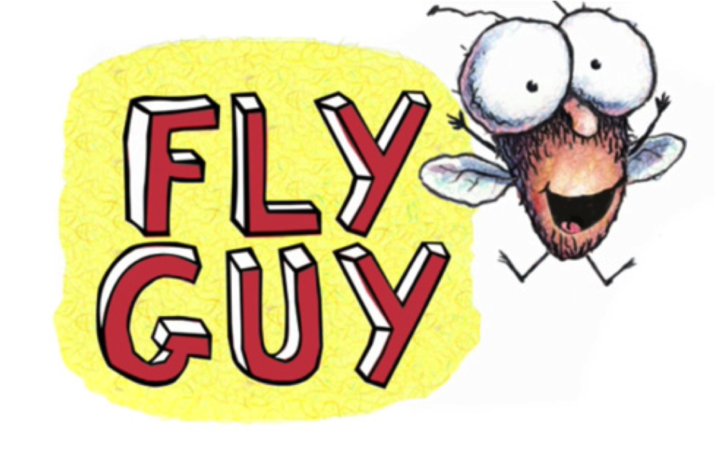 Fly guy. Fly guy book. High Fly guy.